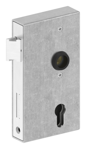 Kastenschloss verzinkt 30x94-5x172 mm geschliffen-30-3203.8