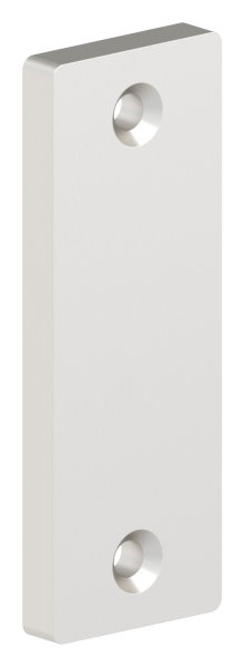 Alu-Kurzschild - Masse- 32x87x7 mm - Form- vierkant - Aluminium EV1 - AMF Artikel- 15867-12-3038.6