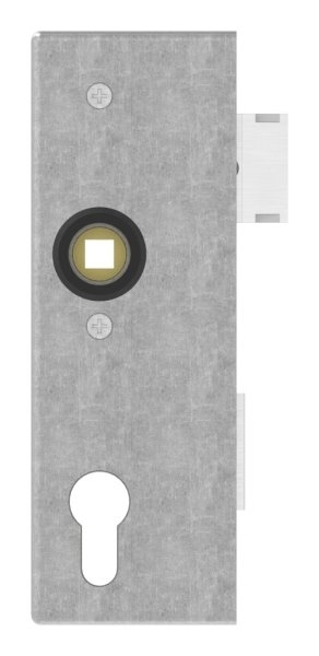 Schlosskasten verzinkt 30x60x172 mm Edelstahl Stulp Riegel Falle-30-3200.8