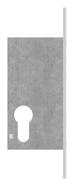 Rohrrahmen-Riegelschloss Zinkdruckguss Dornmass 40 mm Riegelausschluss 22 mm fuer Profilzylinder-88-1140111.40