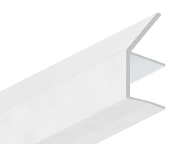 Regenrinne fuer Vordaecher- Glas 17-52mm- L=3000mm- E4-EV1-88-11VDE-RE-3000.17