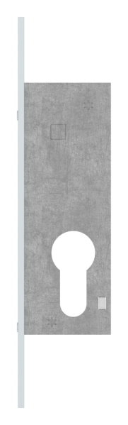 Rohrrahmen-Riegelschloss Zinkdruckguss Dornmass 22mm fuer Profilzylinder-88-1140110.22